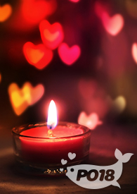 渣了反派大佬后我爆红了 小说